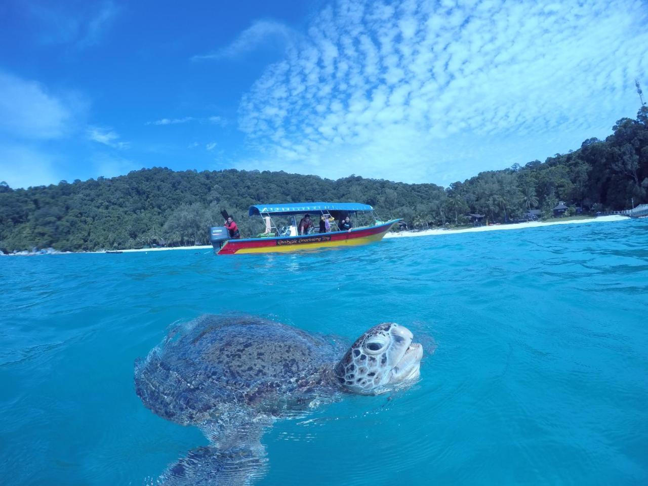 Ombak Dive Resort Perhentian Island Pulau Perhentian Kecil Exterior photo